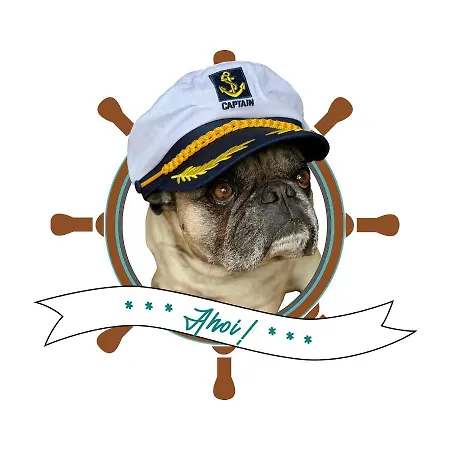 Kaept'n Pugs Kajuete Auf Ruegen * 괴렌